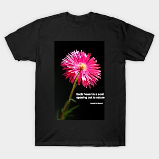 Nature is Beautiful T-Shirt